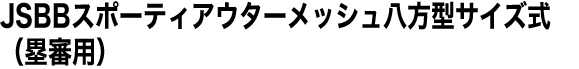 JSBBスポーティアウターメッシュ八方型サイズ式（塁審用）