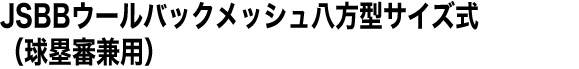 JSBBウールバックメッシュ八方型サイズ式（球塁審兼用）
