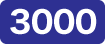 3000