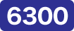 6300
